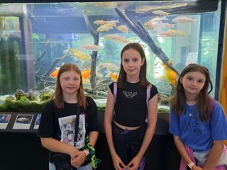 20240611_115254_resized